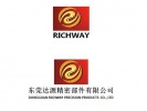 -www_dgrichway_com.pyncxxg.cn